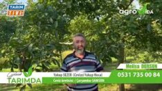 CEVİZCİ YAKUP SEZER HOCA HAKİKATİ KONUŞTU