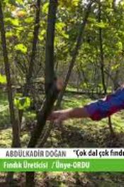 FINDIK ÜRETİCİSİ DOĞAN,; “ÇOK DAL ÇOK FINDIK DEĞİL”