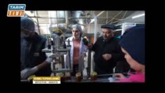 MERZİFON MEYVE MARMELATI EROL ÖNCÜL