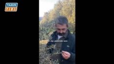 Çanakkale’den Dünyaya…