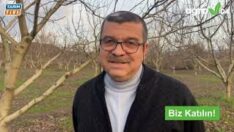 CEVİZDE BESLEMENİN ÖNEMİNİ CEVİZ ÜRETİCİSİ NECDET BEY ANLATTI