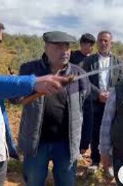 Dal Kanserini Bakın Kim Yayıyormuş Görün..