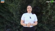 FINDIK BAHÇELERİNDE MAYIS AYI UYGULAMASI