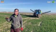 Hububatta kardeşlenme uygulaması nasıl yapılıyor? işte yanıtı