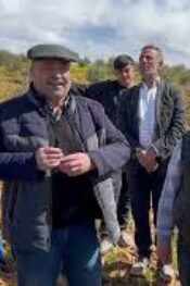 ZEYTİN AĞAÇLARINDA BUDAMANIN PÜF NOKTASI 1. BÖLÜM