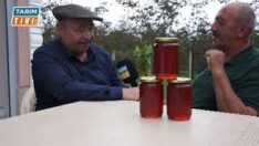 BAL’I HANGİ ÇİÇEK ZEHİRLİYOR