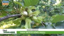 FINDIK ÜRETİCİSİ REMZİ ARMAĞAN YÜKSEK VERİM YÜKSEK RANDIMAN ALMANIN SIRRINI ANLATTI