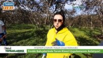 TARIM KİRECİ UYGULAMASI