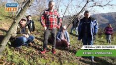 EREĞLİ-TEPEÖRENLİ FINDIK ÜRET,CİLERİNE HATİPOĞLU GÜBRE UYGULAMALI BUDAMA ve BESLEME EĞİTİMİ VERDİ