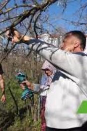 FINDIK BUDAMA ÇİFTÇİ EĞİTİMİ EREĞLİDE DEVAM EDİYOR BÖLÜM 2