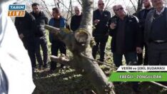 FINDIK BUDAMA ÇİFTÇİ EĞİTİMİ HATİPOĞLU GÜBRENİN KATKILARIYLA EREĞLİDE DEVAM EDİYOR BÖLÜM 1