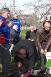 FINDIK UZMANI AHMET ELEVLİ ALAPLI FINDIK ÜRETİCİSİNE UYGULAMALI BUDAMAYI ANLATTI BÖLÜM 3 SON