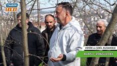 FINDIK UZMANI AHMET ELEVLİ ALAPLI’DA FINDIK ÜRETİCİSİNE UYGULAMALI BUDAMAYI ANLATTI BÖLÜM 2