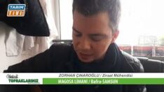 MAGOSA LİMANINI BAKIN NASIL ÇALIP SÖYLEDİLER