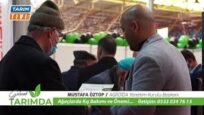 AĞAÇLARDA KIŞ BAKIMI ve ÖNEMİ