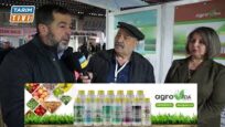 Fındıkta Don ve Kokarca Zararlısına Karşı “Güçlü Ağaç İçin Zamanında Gübreleme Şart”