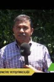Narenciye Bahçesi Kurulumu ve Zirai Mücadelenin Önemi