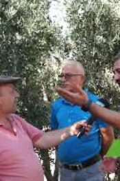 Aydın- Buharkent Agroida Bölge bayimiz Bilgen tarım zeytin ve incir üreticilerini ziyaret etti.