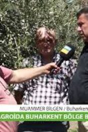 Zeytin ve İncir Üreticisi Bozbey’den Samimi açıklama