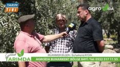 Zeytin ve İncir Üreticisi Bozbey’den Samimi açıklama