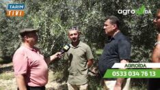 Zeytine Emek Veren Ellere Ziyaret