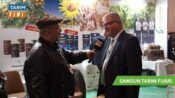 Fındık üreticisinin baş belası kahverengi kokarcada son durum!