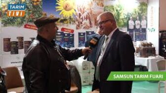 Fındık üreticisinin baş belası kahverengi kokarcada son durum!