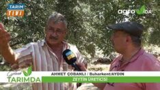 GURBETCİ ZEYTİN ÜRETİCİSİ AHMET ÇOBANLI BAKIN NE DEDİ