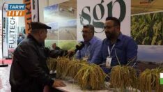 SGP Tohumculuk, Yeni Çeltik Tohumunu Samsun Fuarı’nda Tanıttı