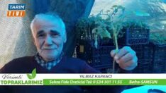 YILMAZ KAPANCI’DAN ÜRETİCİLERE FİDE UYARISI