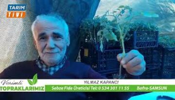 YILMAZ KAPANCI’DAN ÜRETİCİLERE FİDE UYARISI