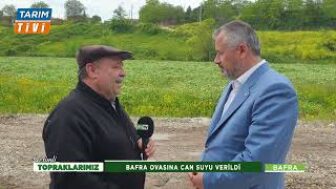 Derbent Barajı’ndan salınan can suyuyla Bafra Ovası’nın bereket yolculuğu, başladı. TARIM TİVİ