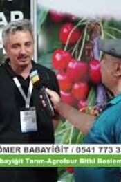 Sinop Tarım Fuarı Ömer Babayiğit